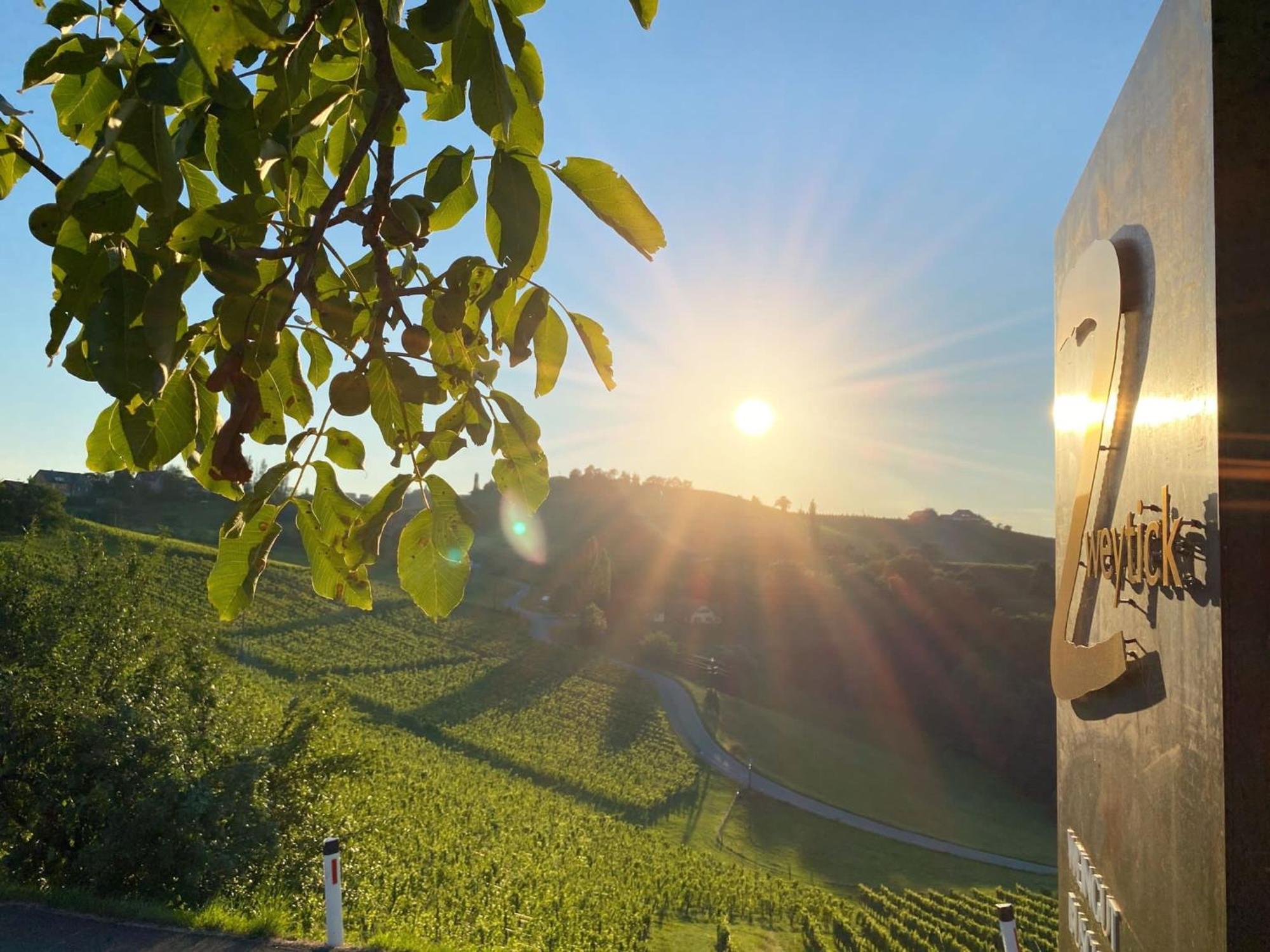 Zweytick Gaestezimmer Weingut Ratsch an der Weinstraße المظهر الخارجي الصورة