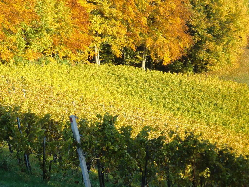 Zweytick Gaestezimmer Weingut Ratsch an der Weinstraße المظهر الخارجي الصورة