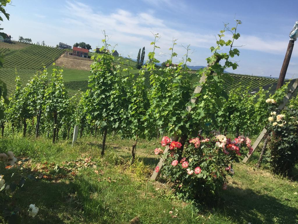 Zweytick Gaestezimmer Weingut Ratsch an der Weinstraße المظهر الخارجي الصورة